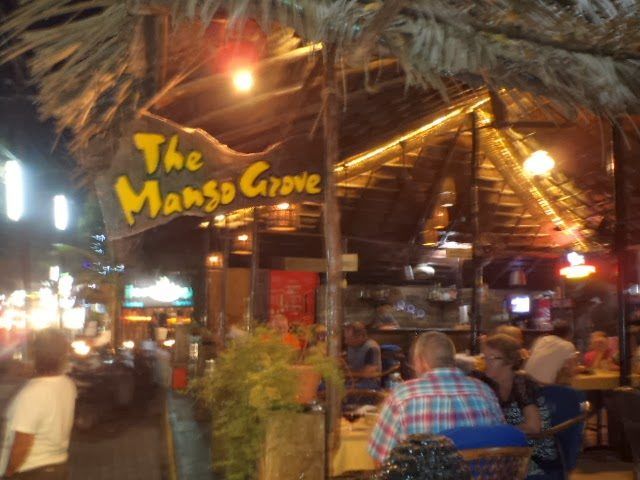 mango-grove-min