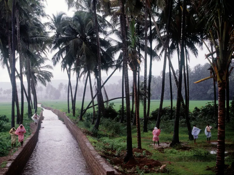 monsoon1