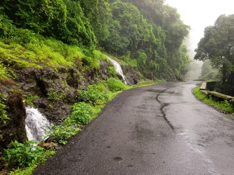 monsoon in goa