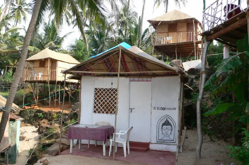 pacific-palolem-min