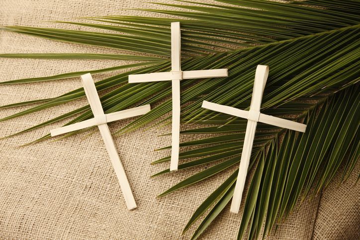 Palm Sunday 2025