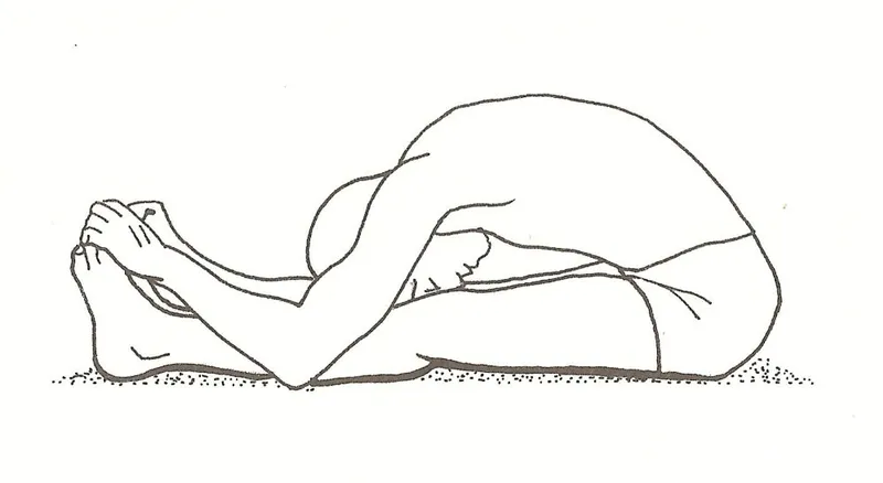 paschimottanasana - www.keyword-suggestions.com