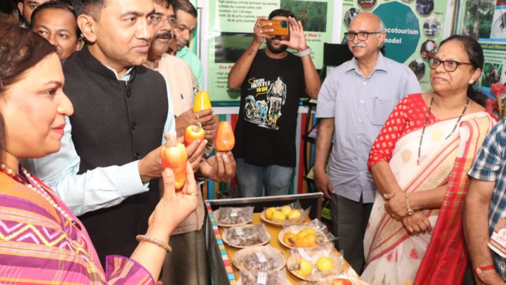 Food at cashew fest- Cashew fest 2024