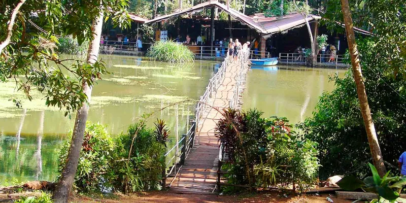 savoi-plantation-goa-entry-fee-timings-holidays-reviews-header