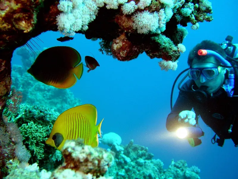 book-subadiving-in-goa