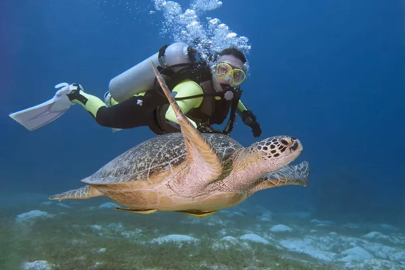 how-safe-is-scuba-diving-in-goa