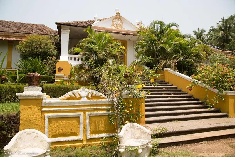 the-palace-and-gardens