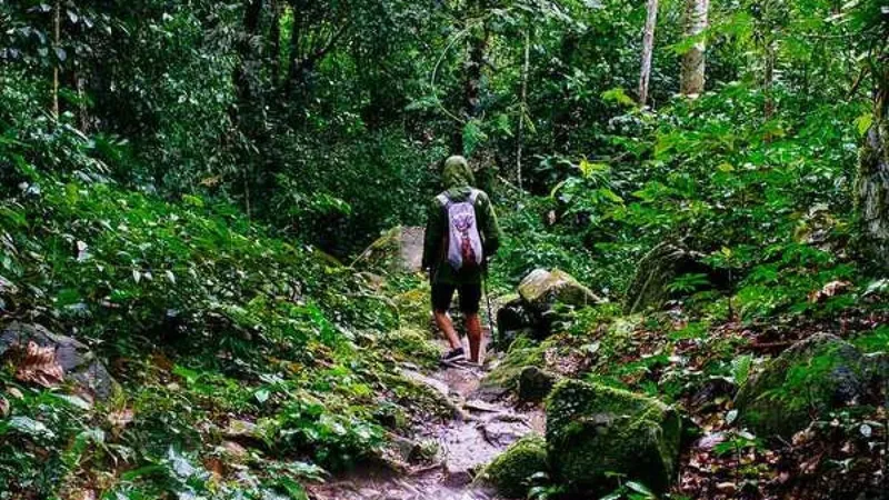 best-trekking-trails-in-goa
