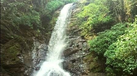 best-jungle-trekking-goa