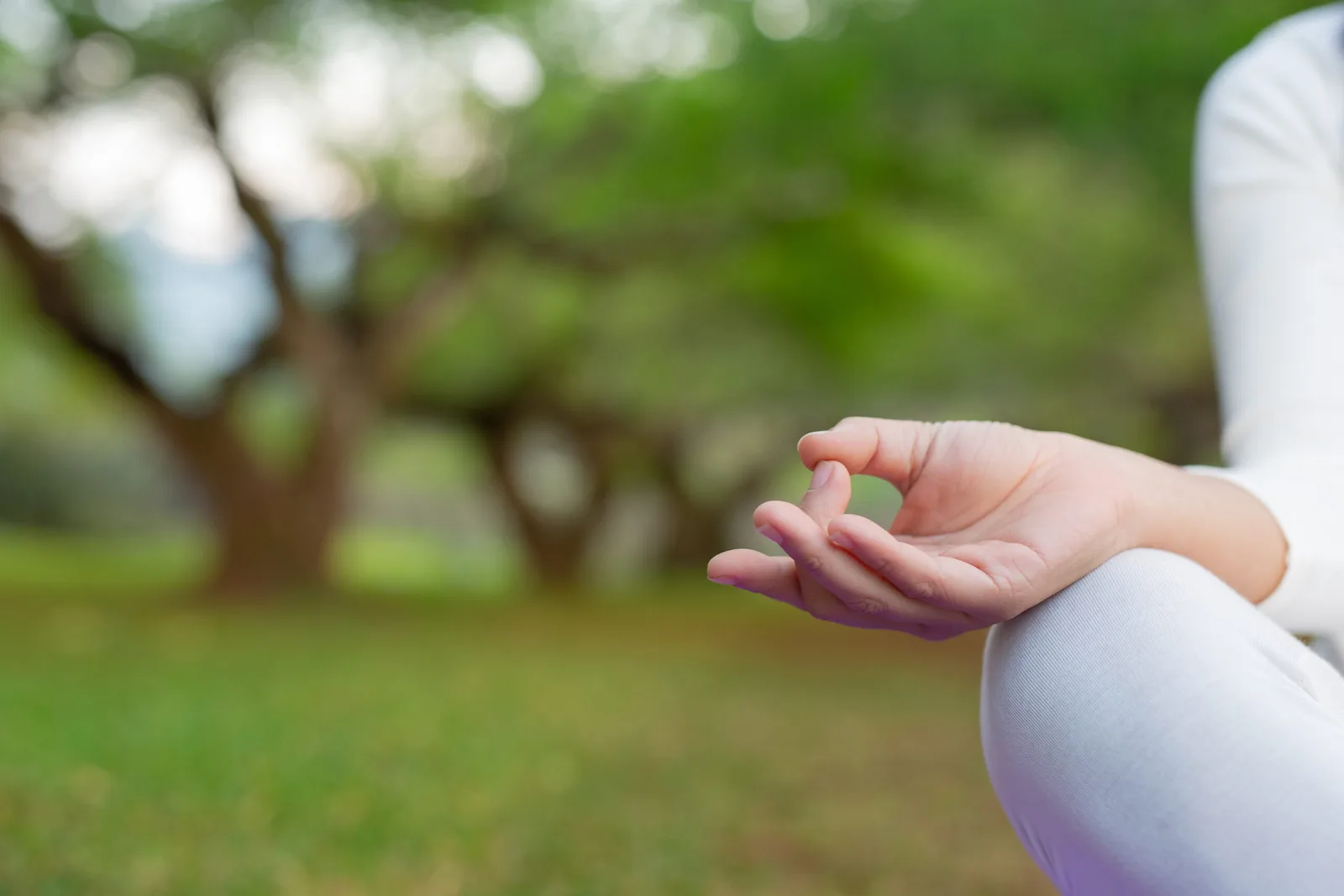 Women are playing yoga at the park. Exercising.